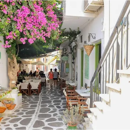 게스트하우스 Livadia Seaside 6 *
